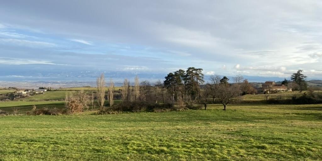 Paysage du Gîte du Tilleul